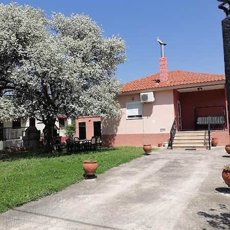 Αξέχαστη Διαμονή - Unforgettable Accommodation Nea Kallikrateia Ngoại thất bức ảnh