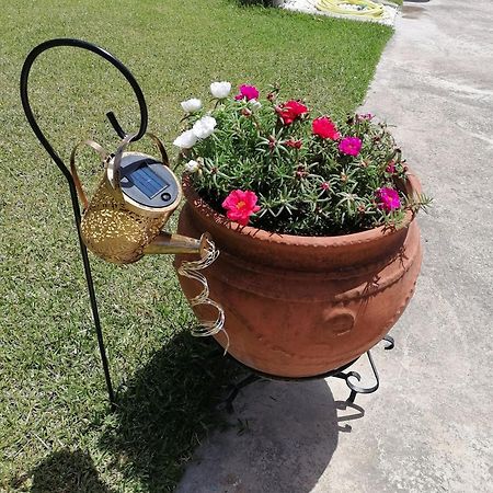 Αξέχαστη Διαμονή - Unforgettable Accommodation Nea Kallikrateia Ngoại thất bức ảnh