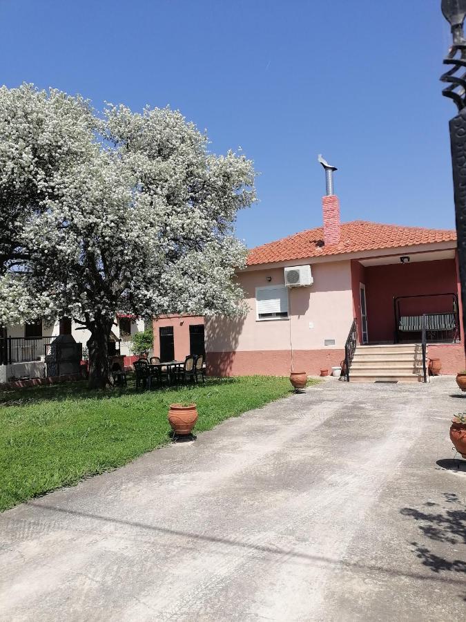 Αξέχαστη Διαμονή - Unforgettable Accommodation Nea Kallikrateia Ngoại thất bức ảnh