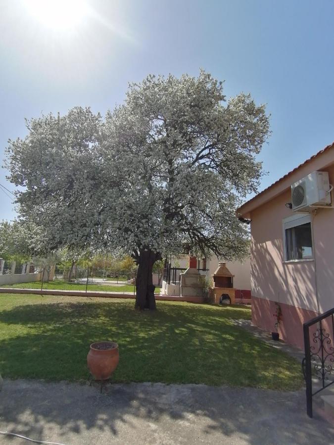 Αξέχαστη Διαμονή - Unforgettable Accommodation Nea Kallikrateia Ngoại thất bức ảnh