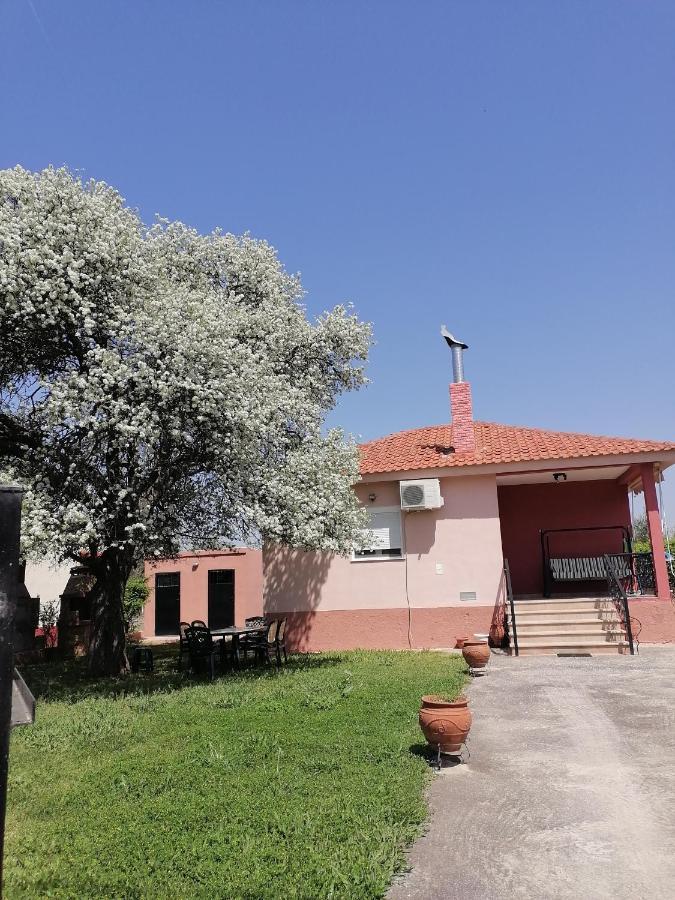 Αξέχαστη Διαμονή - Unforgettable Accommodation Nea Kallikrateia Ngoại thất bức ảnh